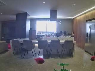 voyeurcam casa salsa fishtank